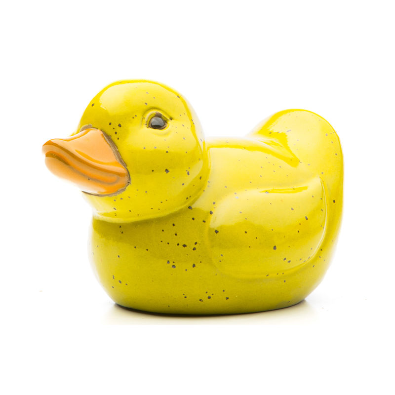 Img Sunny Duck