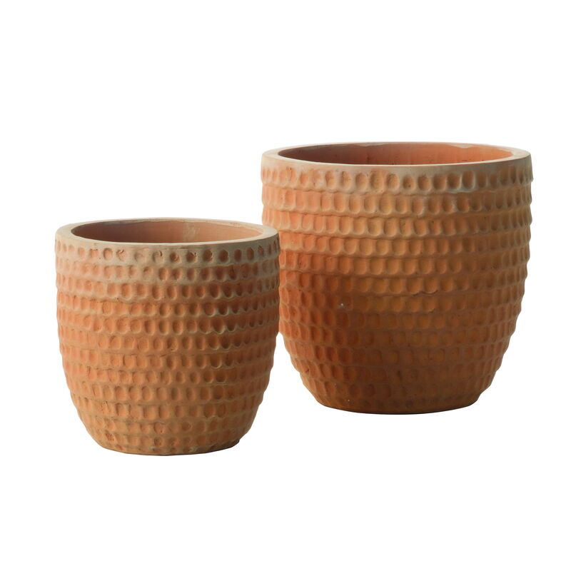 Img Hydra Planter
