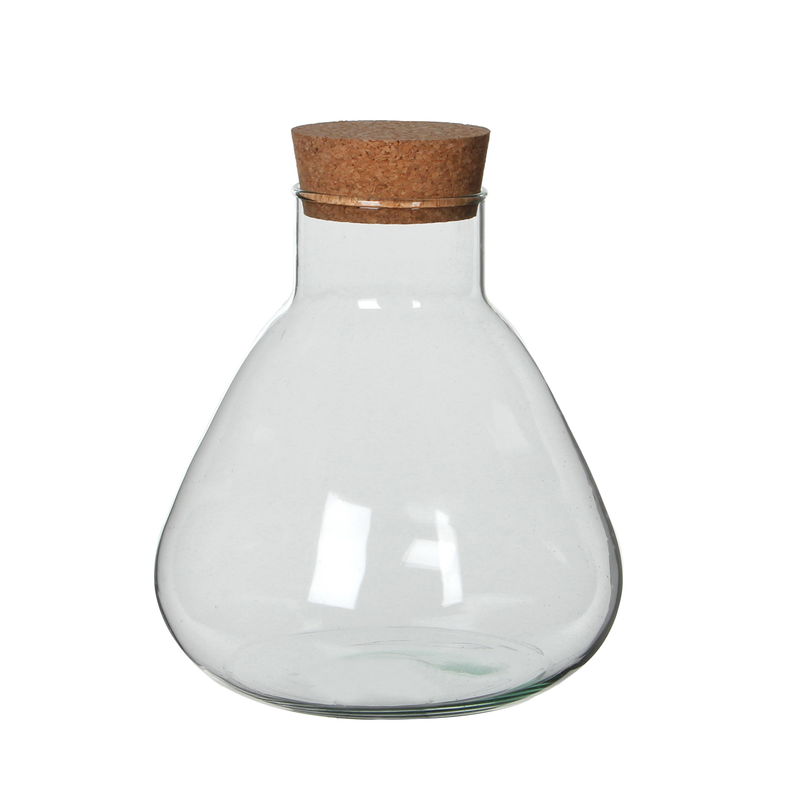 Img Large Emily Glass Terrarium with Cork 